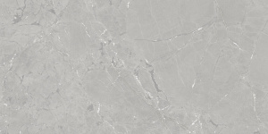 Neeko Grey 60x120