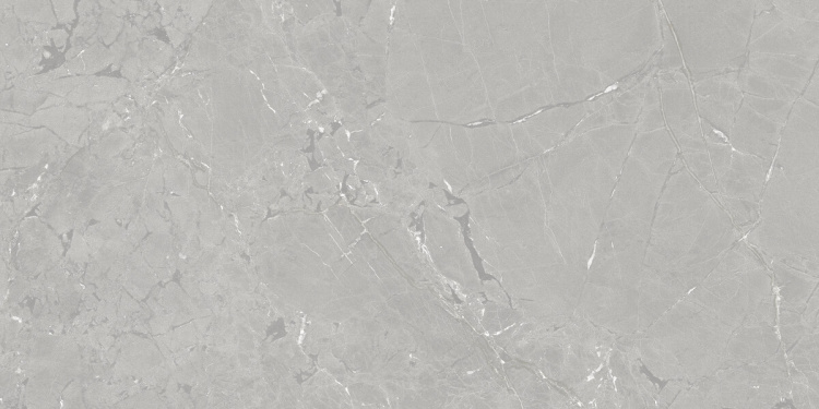Neeko Grey 60x120