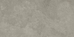 Westone Taupe Mate 60x120