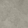 Westone Taupe Mate 60x120