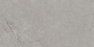 Reggio Grigio 60x120
