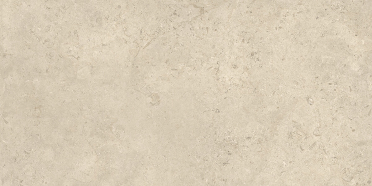 Shalem Natural 60x120