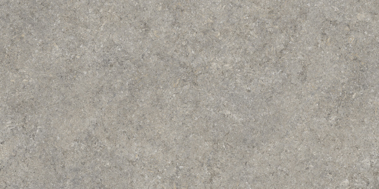 Vinci Grey 60x120 LM