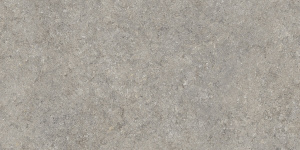 Vinci Grey 60x120