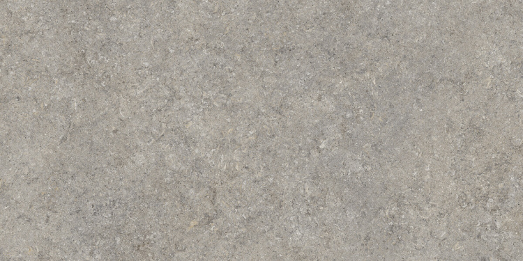Vinci Grey 60x120