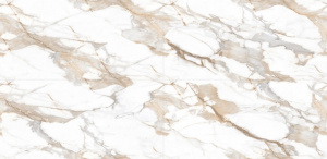 Endless Melita Carrara Polished 60x120