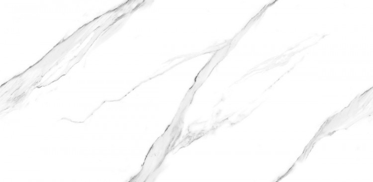Endless Nesia Carrara Polished 60x120 под мрамор глянцевая, полированная
