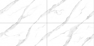 Endless Nesia Carrara Polished 60x120