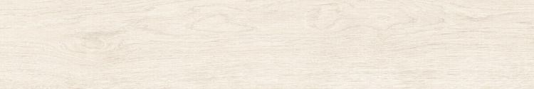 Birch White 20x120