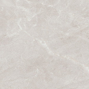 Arber Silver F P 600x600x8 R Mat