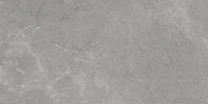 Efeso Grey 60x120