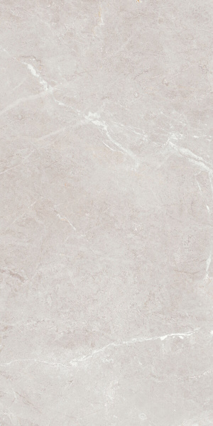 Arber Silver F P 600x1200x8 R Mat