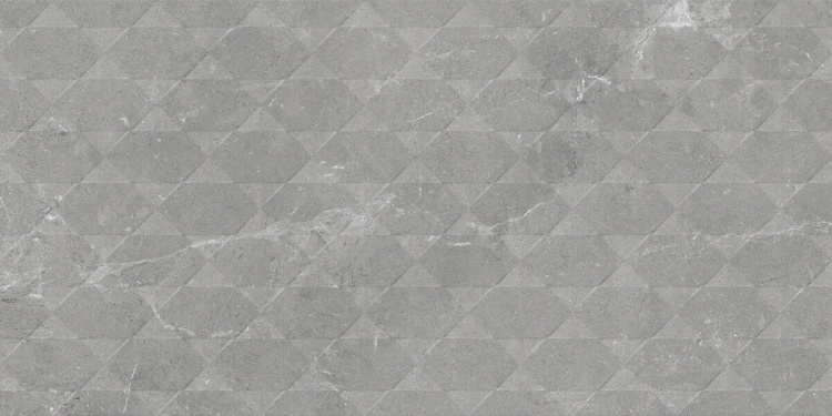 Efeso Dec Grey 60x120