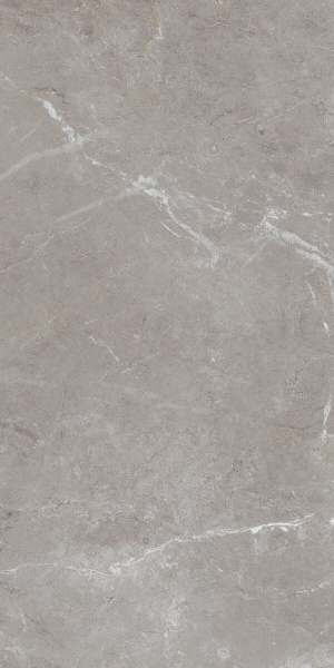 Arber Grey F P 600x1200x8 R Mat