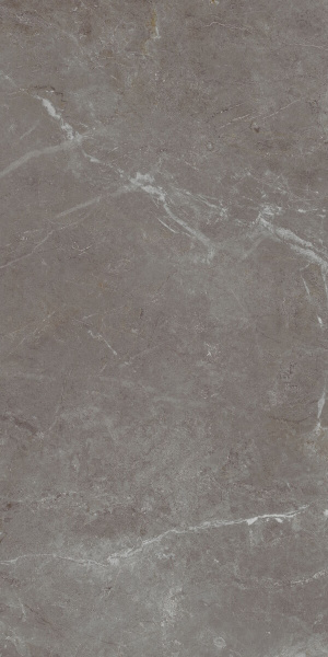 Arber Graphite F P 600x1200x8 R Mat