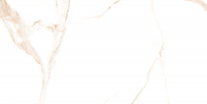 Alsacia Oro Pol 60x120