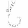 Гігієнічний душ Hansgrohe 32128000
