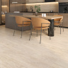 Bernini Crema 60x120