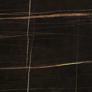 Sahara Black F P 600x600x8 R Glossy
