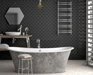 Scale Fan Black 10.6x12