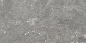Mystery Grey 60x120