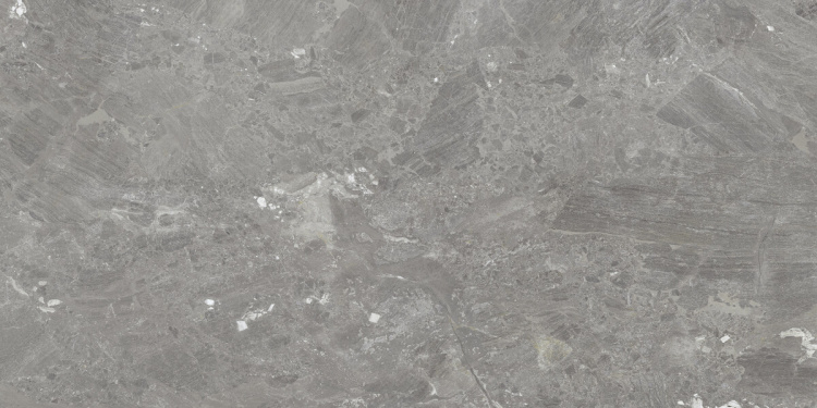 Mystery Grey 60x120