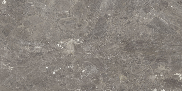Mystery Taupe 60x120