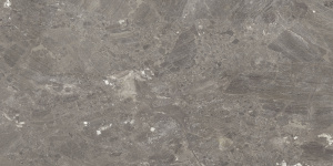 Mystery Taupe 60x120 PL
