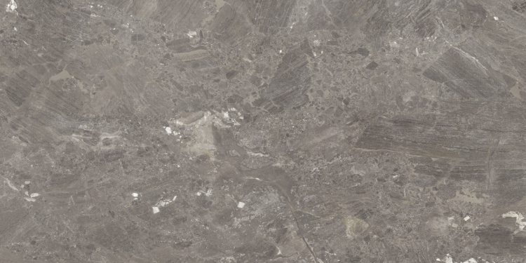 Mystery Taupe 60x120 PL