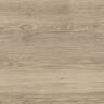 Sequoia Birch Rect 25x150